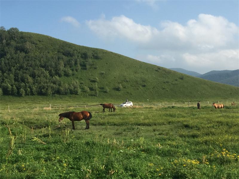 避暑好去處 壩上草原【孤石陽(yáng)光山谷】(圖8)
