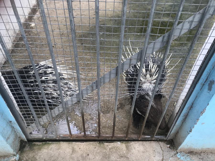 天鵝湖風(fēng)景區(qū)（泰山）速覽！(圖10)