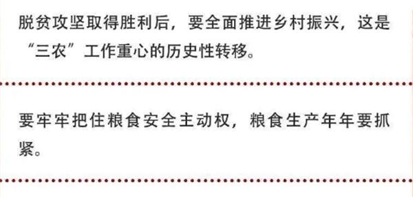 2020年中央農(nóng)村工作會議精神速覽！(圖2)